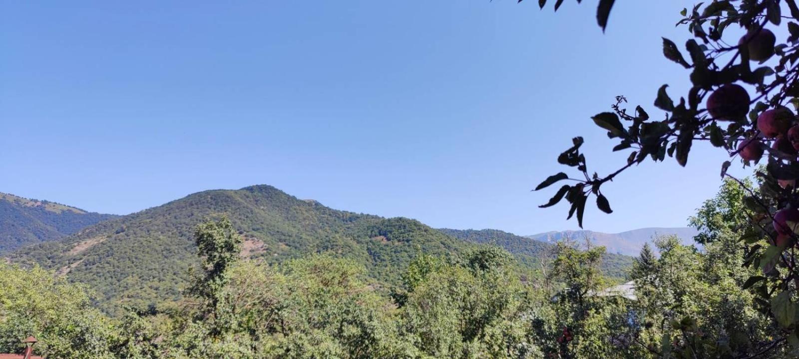 Sunny Lodge Dilijan Exteriör bild